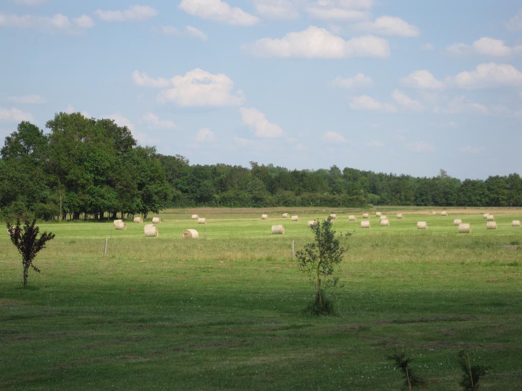 فيلا La Petite Grange Lorignac الغرفة الصورة